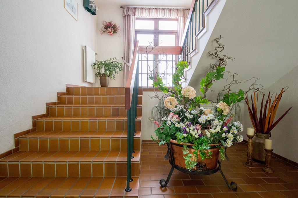 Hotel Am Lingelbach Knüllwald Kültér fotó